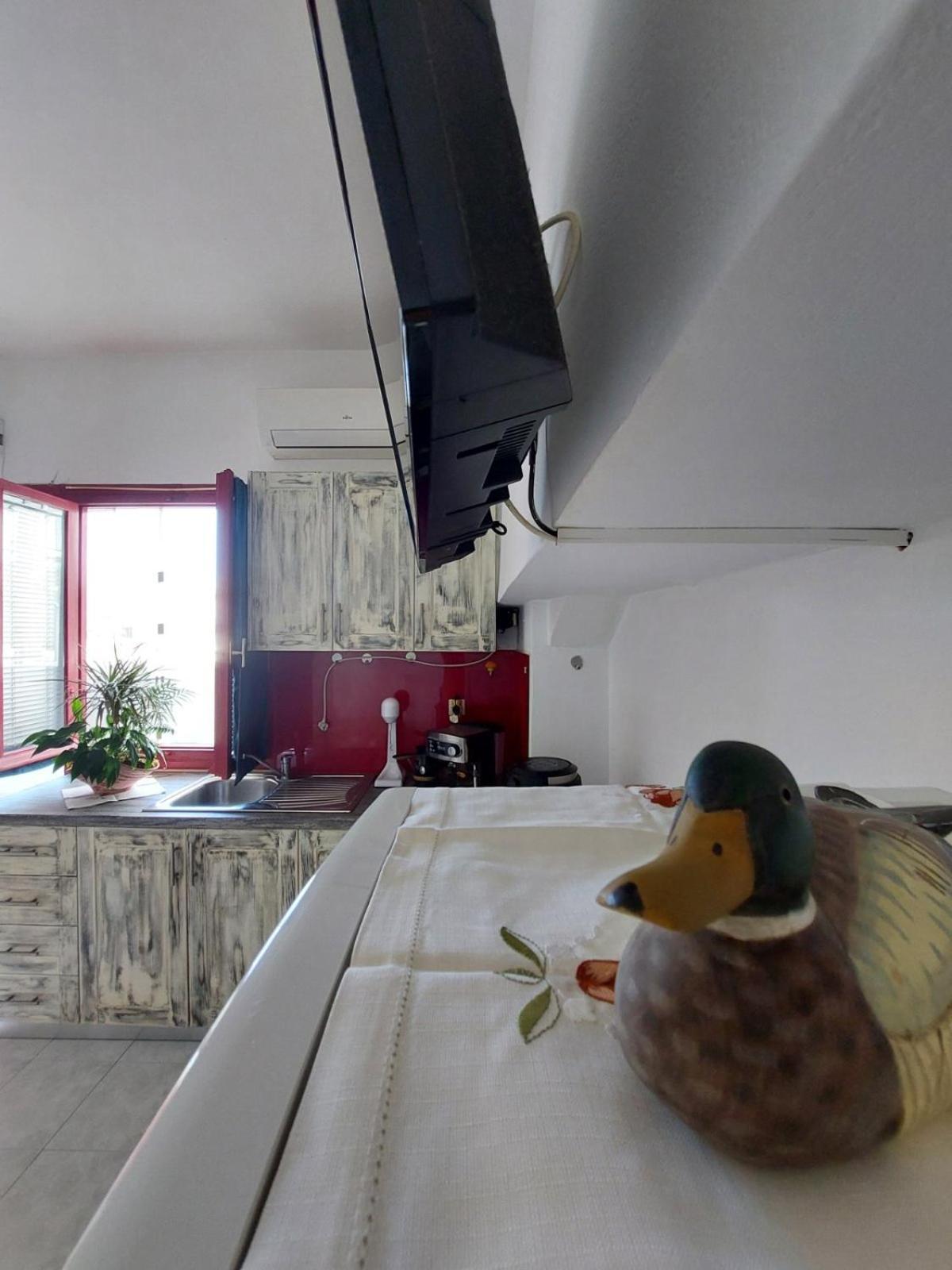 Apartamento Lotus *